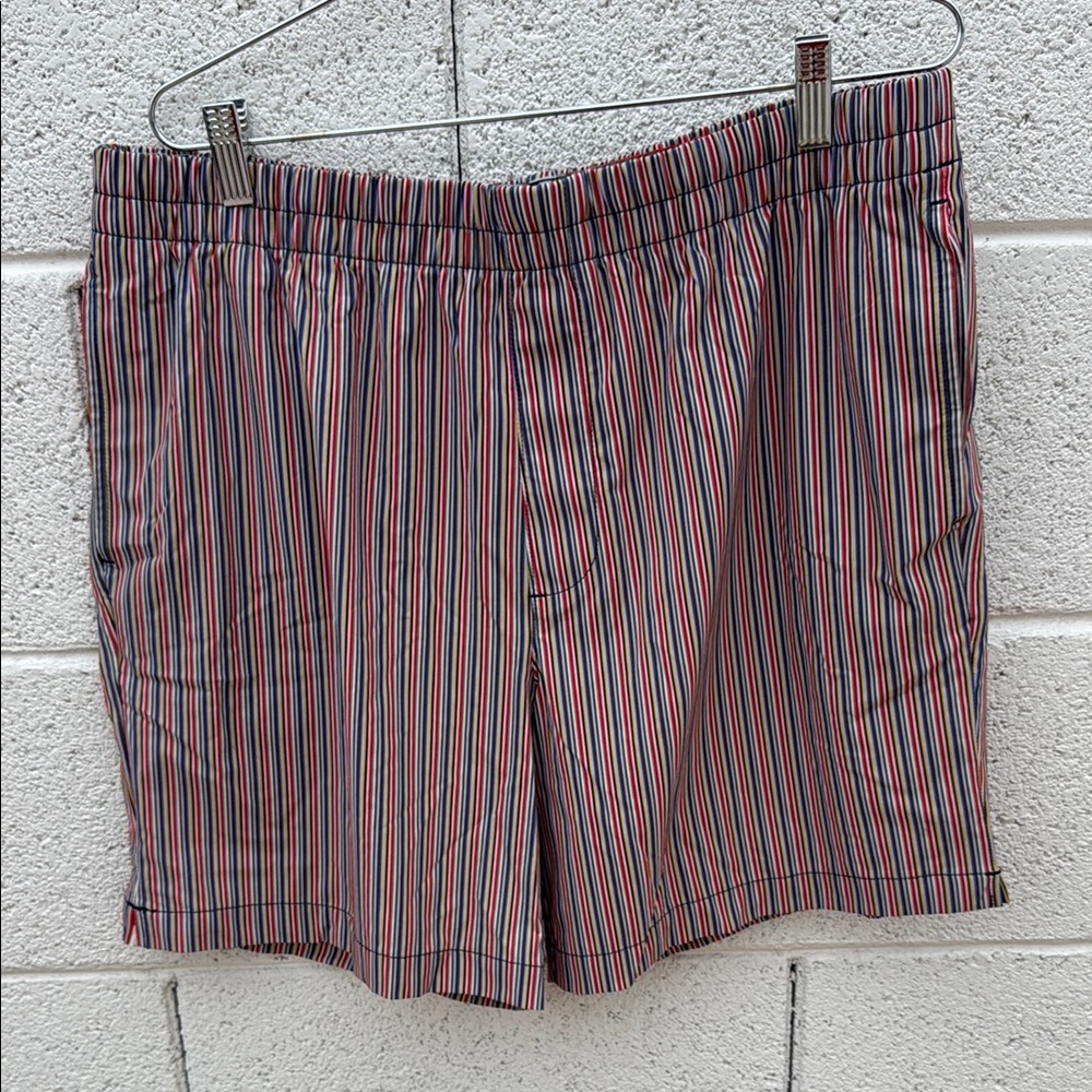 Banana Republic Multicolor Men's Shorts LG